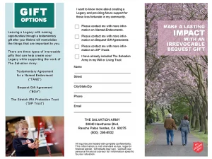 TANE-BGA-SIP Trifold Brochure